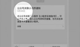 爆料大视频小程序有哪些,爆款内容生成背后的秘密
