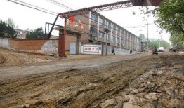 井陉最新爆料消息,揭秘神秘事件背后的真相