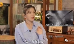 娱乐吃瓜酱花瓶视频,花瓶视频背后的故事揭秘